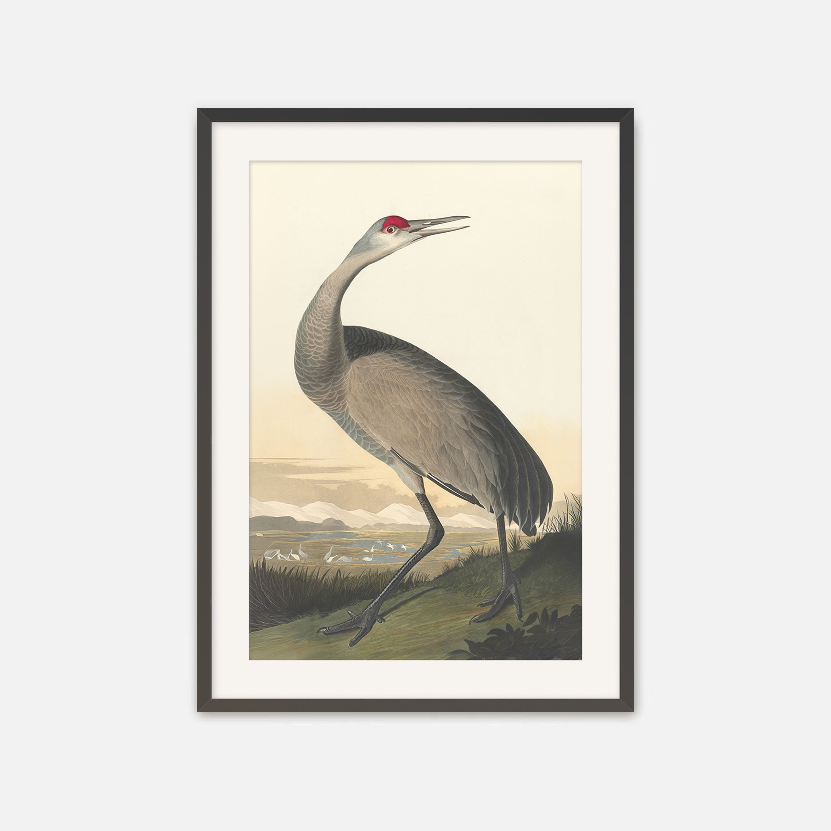 Hooping Crane Print - Sage and Rose Prints
