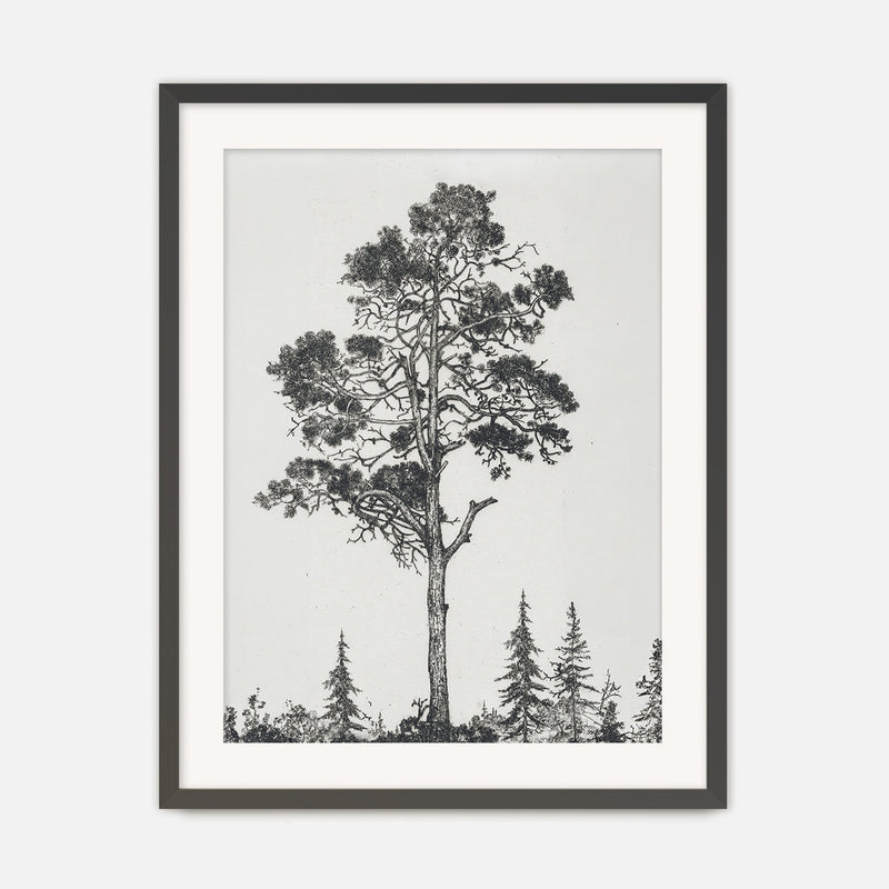 Black and White Tree Illustration No2 - Sage and Rose Prints