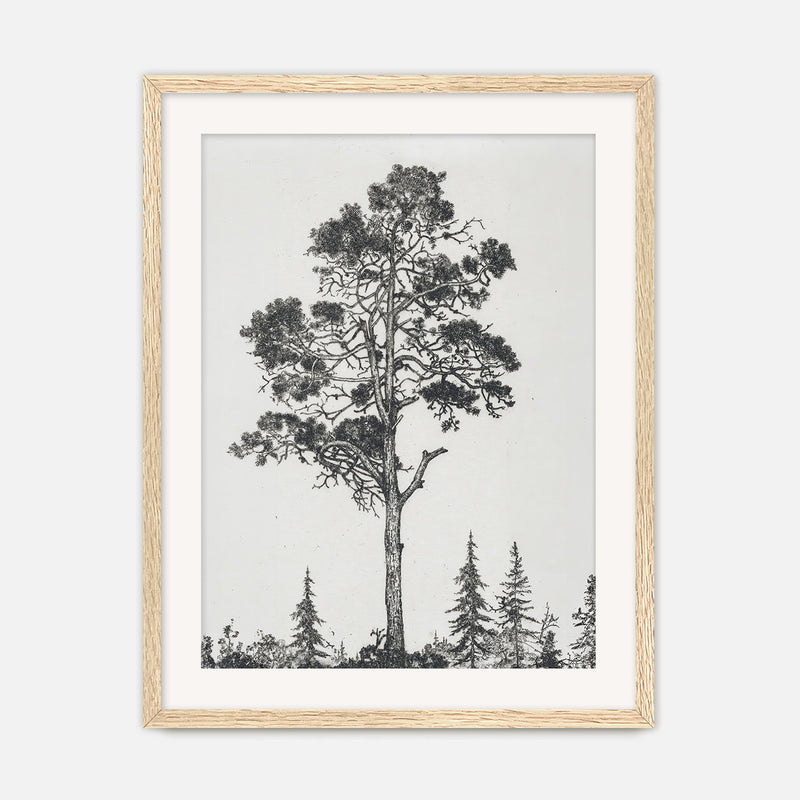 Black and White Tree Illustration No2 - Sage and Rose Prints