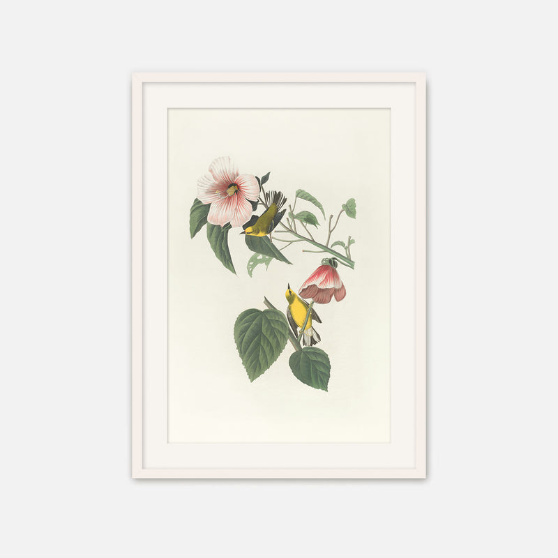 Bird Artwork with Pink Flower - Sage and Rose Prints