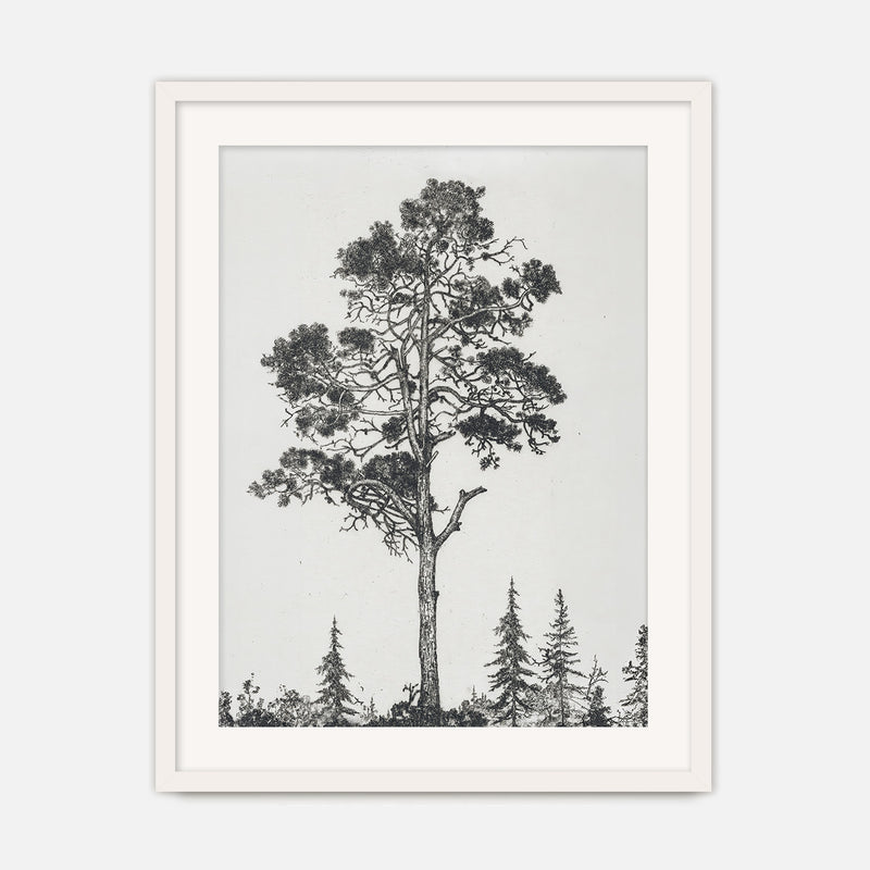 Black and White Tree Illustration No2 - Sage and Rose Prints