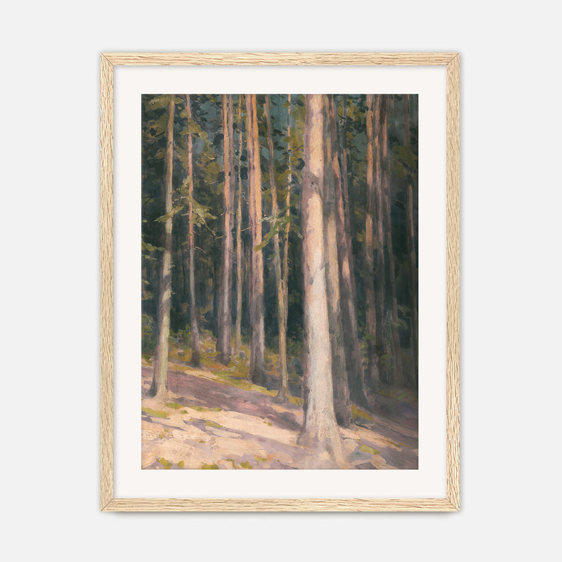 Redwoods in the Sunlight Oil Painting No1 - Sage and Rose Prints