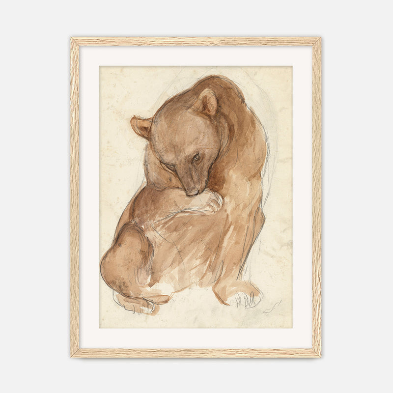 Bear Drawing in Earth Tones - Sage and Rose Prints