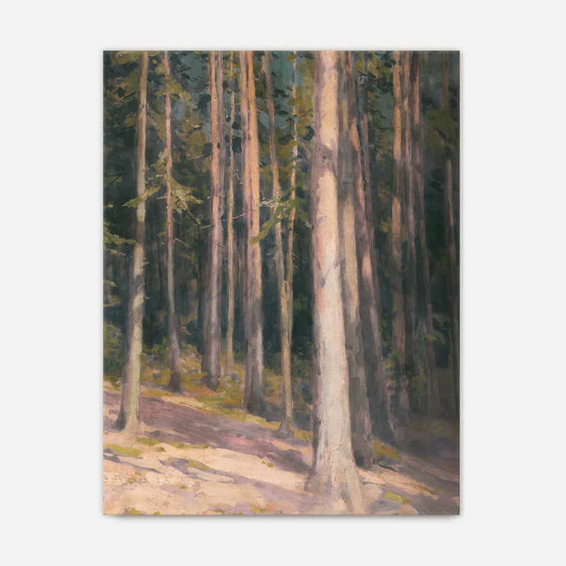 Redwoods in the Sunlight Oil Painting No1 - Sage and Rose Prints