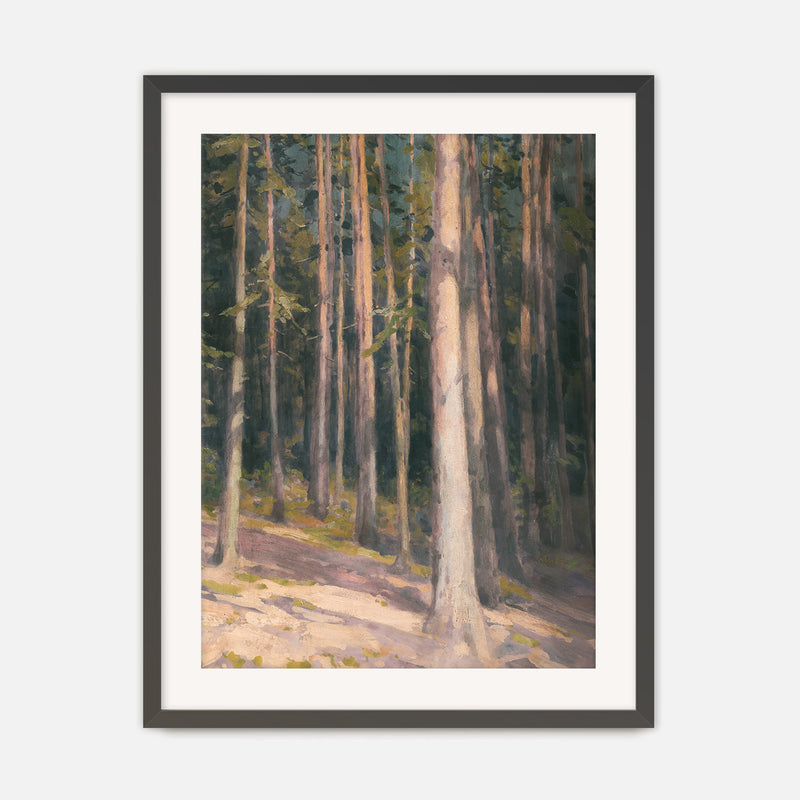 Redwoods in the Sunlight Oil Painting No1 - Sage and Rose Prints