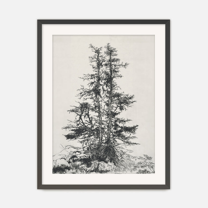 Black and White Tree Illustration No1 - Sage and Rose Prints