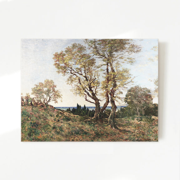 Landscape Art 17-1x - Sage and Rose Prints