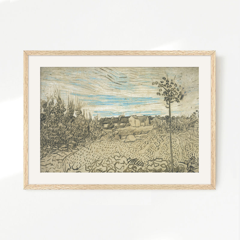 Wheat Field Painted by Van Gough - Sage and Rose Prints