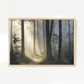 Sunlight Through a Misty Forest No2 - Sage and Rose Prints
