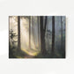 Sunlight Through a Misty Forest No2 - Sage and Rose Prints