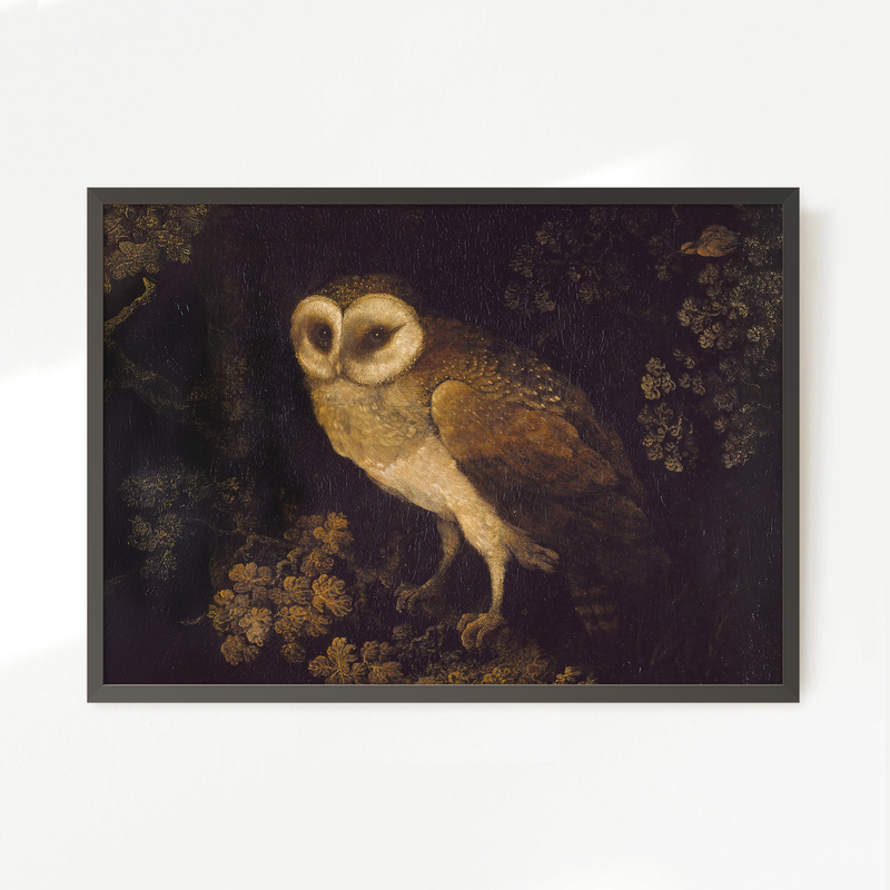 Owl Print 2 - Sage and Rose Prints