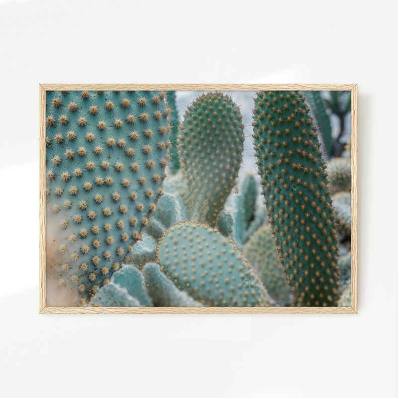 Prickly Pear Geometric Cactus Photo - Sage and Rose Prints