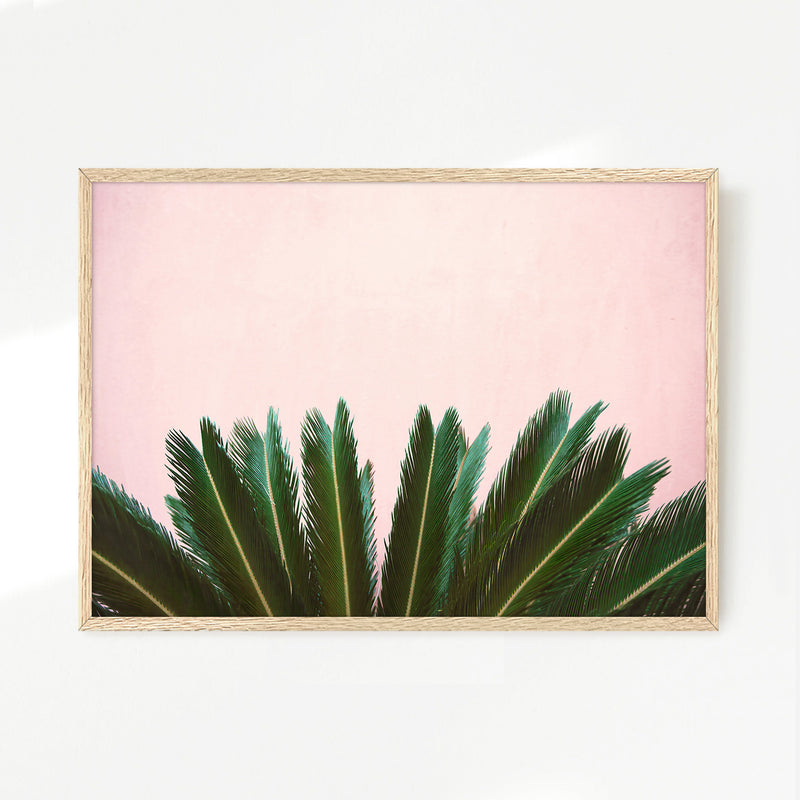 Tropical Leaves and Soft Pink - Sage and Rose Prints