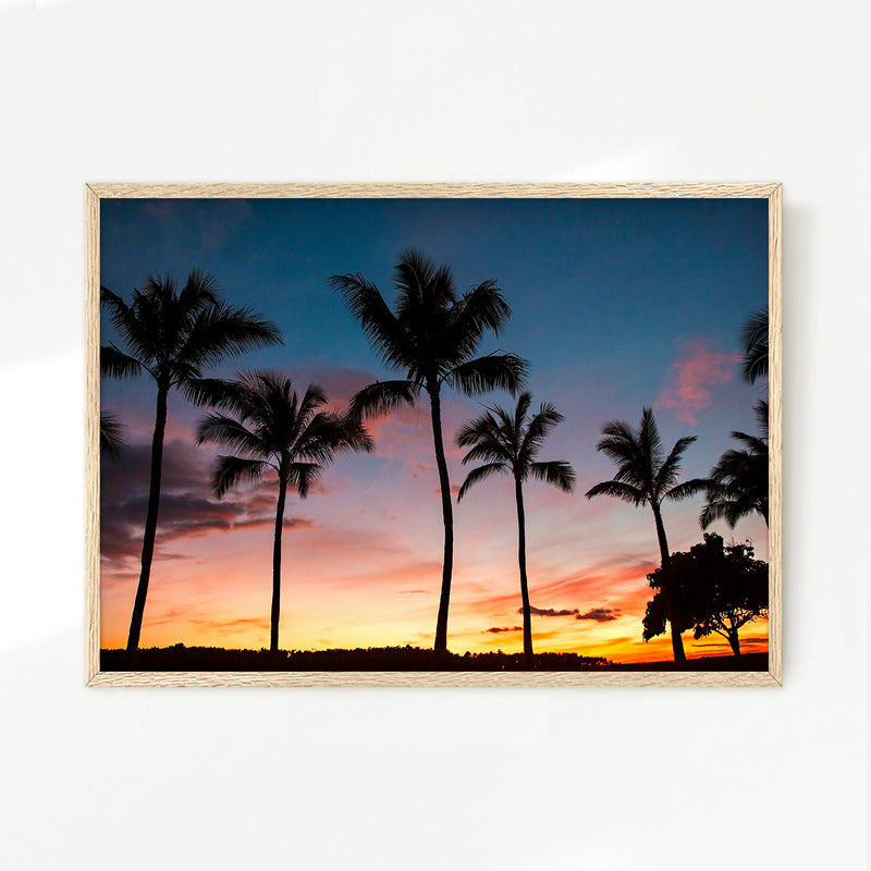 Palm Trees Sunset Photo Print - Sage and Rose Prints