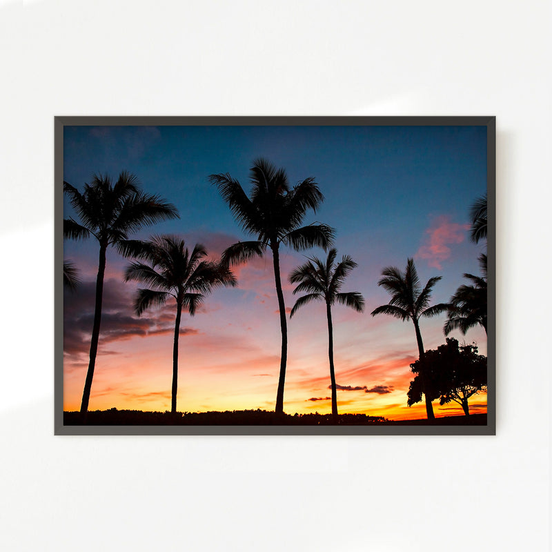 Palm Trees Sunset Photo Print - Sage and Rose Prints