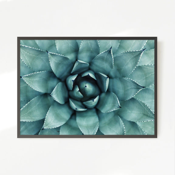 succulent canvas art Succulent Wall Art Designed as Airbnb Decor – Sage and Rose Prints
