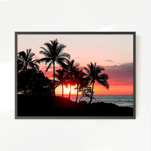 Palm Trees Silhouettes Sunset Photo No1 - Sage and Rose Prints