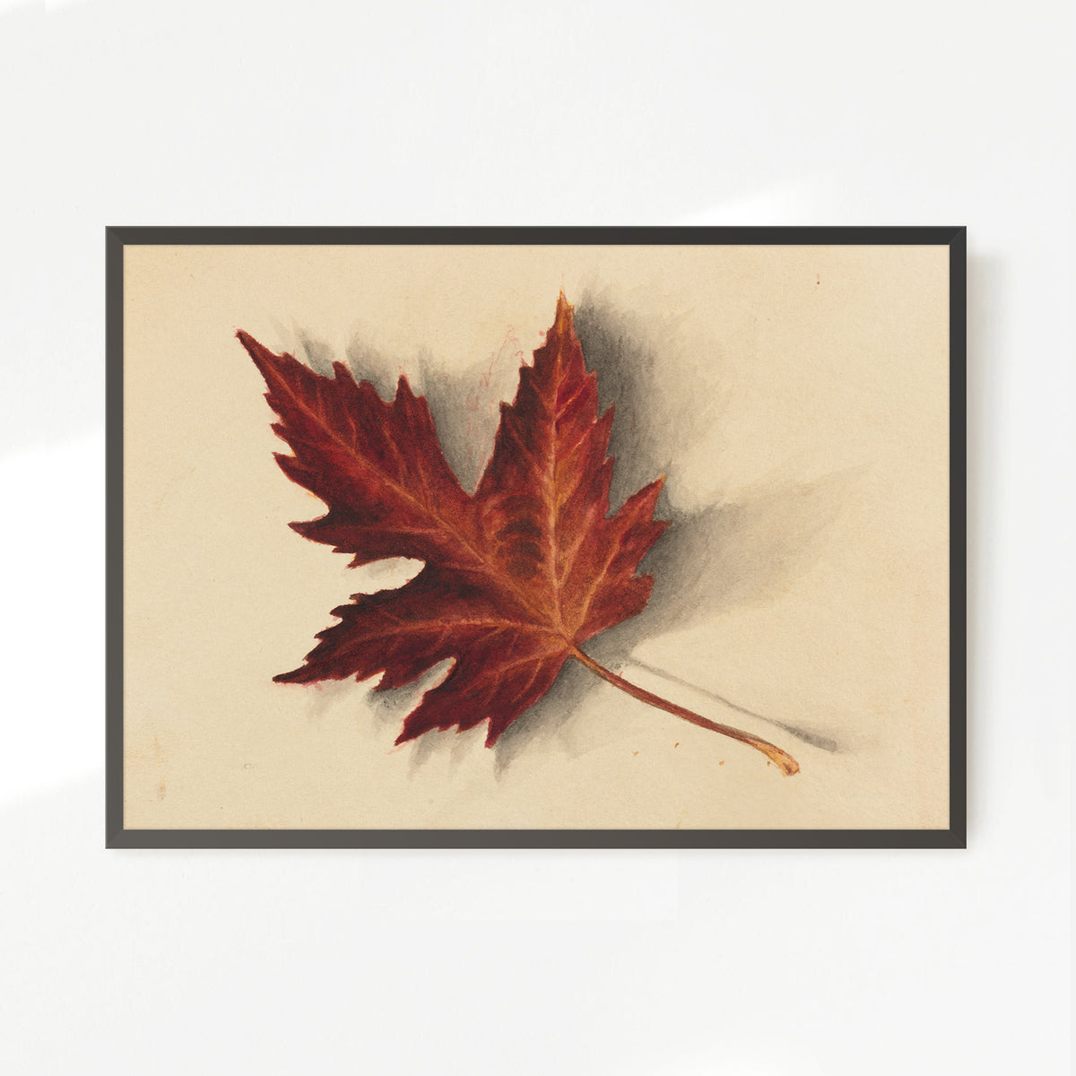 Leaf Drawing in Shades of Red No2 - Sage and Rose Prints