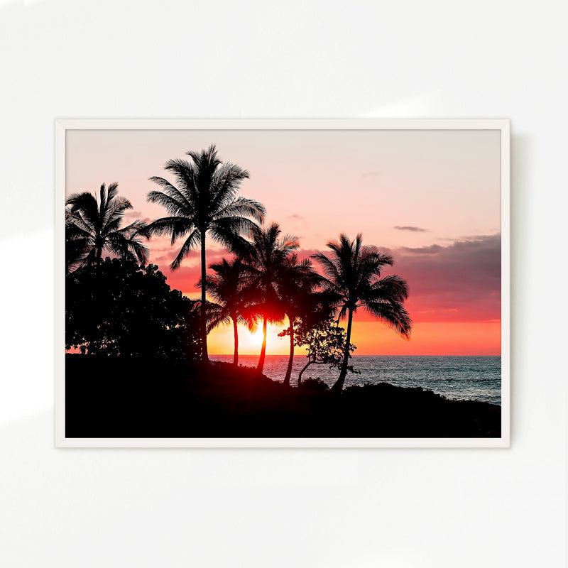 Palm Trees Silhouettes Sunset Photo No1 - Sage and Rose Prints