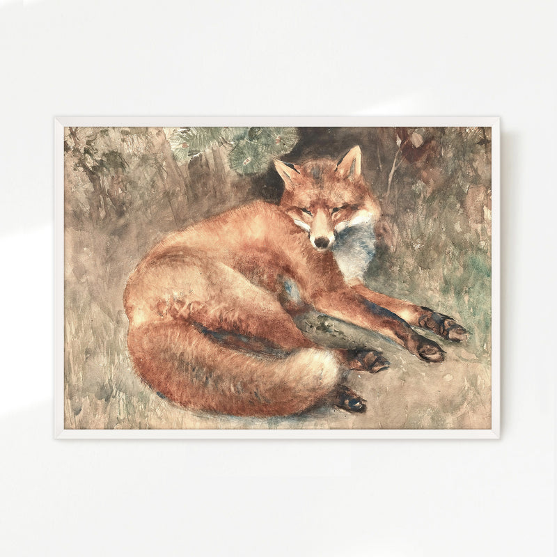 Old Masters Fox Painting - Sage and Rose Prints