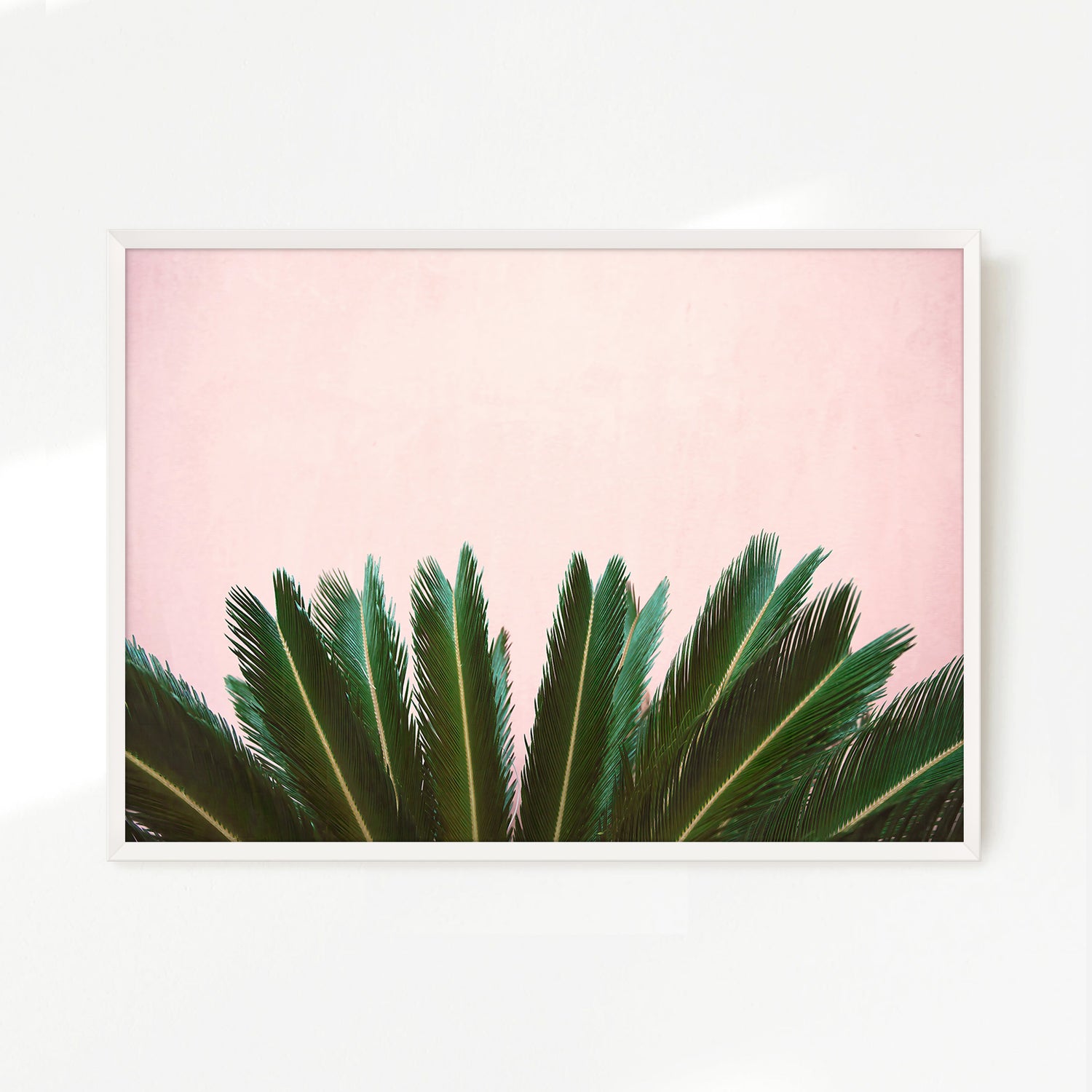 Tropical Leaves and Soft Pink - Sage and Rose Prints