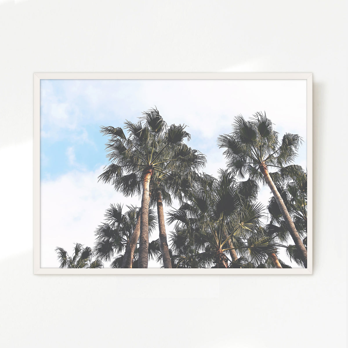 Palms in the Sky Beach Photo No1 - Sage and Rose Prints