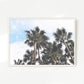 Palms in the Sky Beach Photo No1 - Sage and Rose Prints