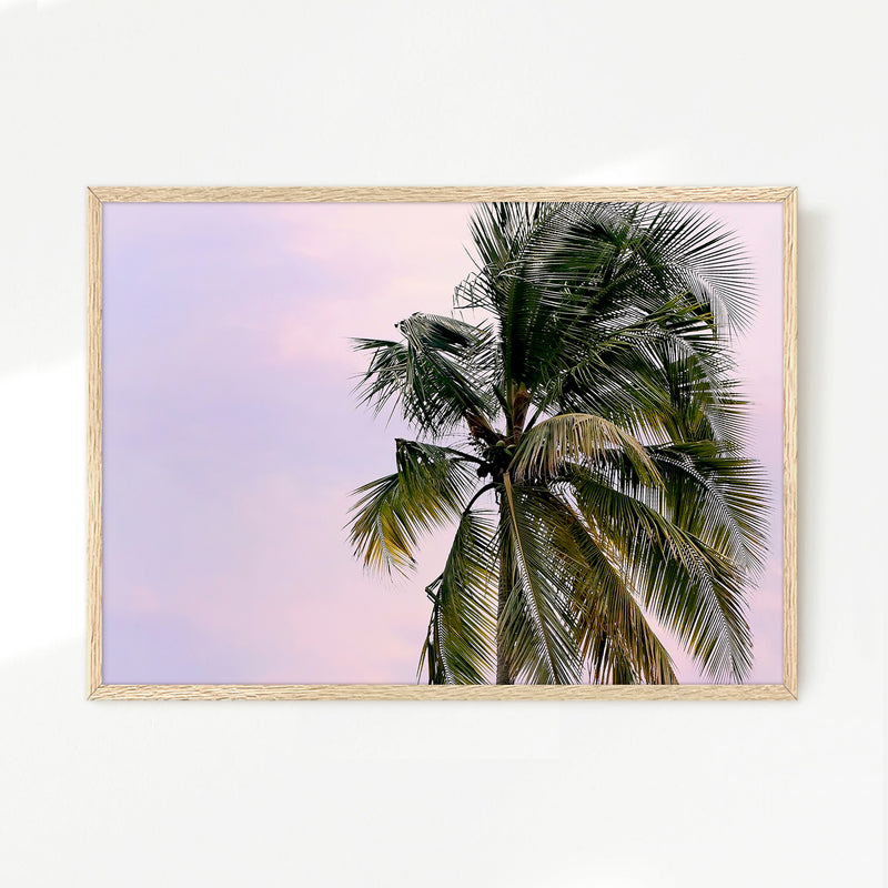 Lone Palm Tree Against a Pink Sky No1 - Sage and Rose Prints