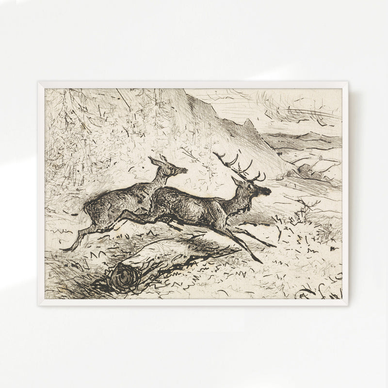 Charcoal Drawing of Deer No2 - Sage and Rose Prints