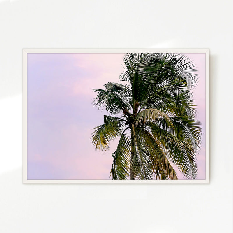 Lone Palm Tree Against a Pink Sky No1 - Sage and Rose Prints