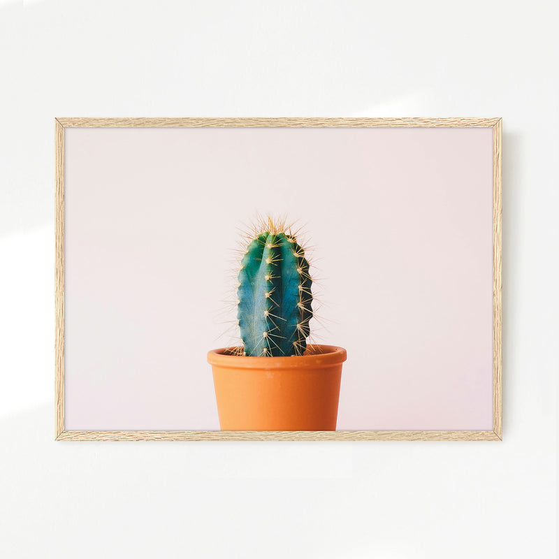 Pink Cactus Wall Art - Sage and Rose Prints