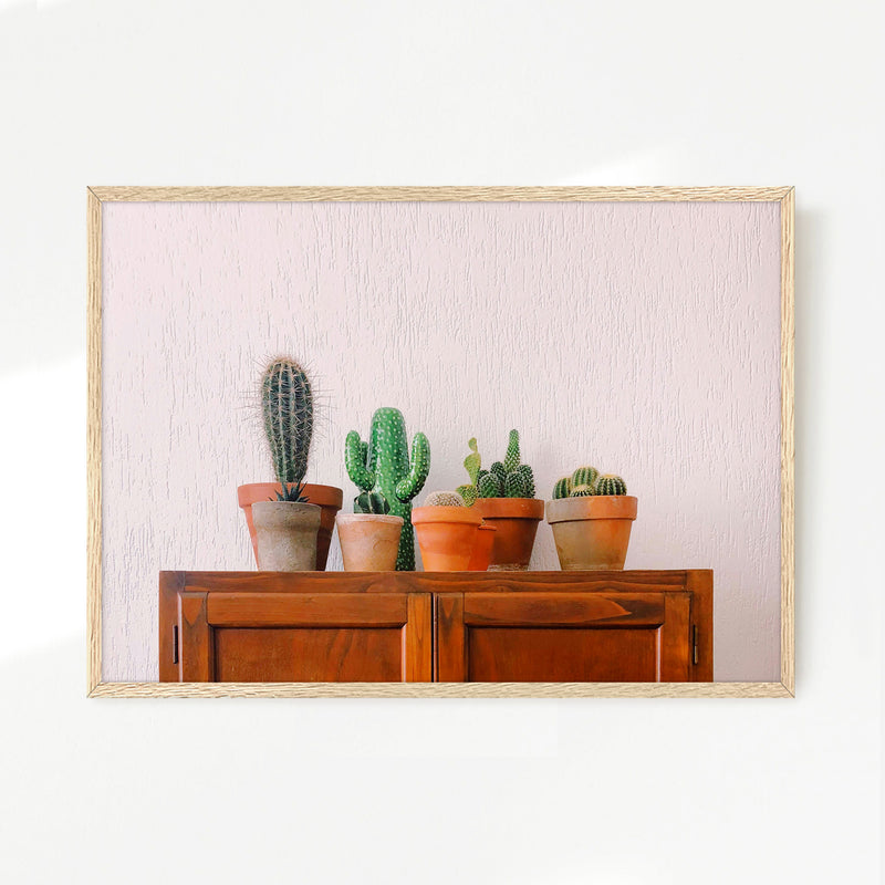 Potted Succulents and Cactus Photo - Sage and Rose Prints