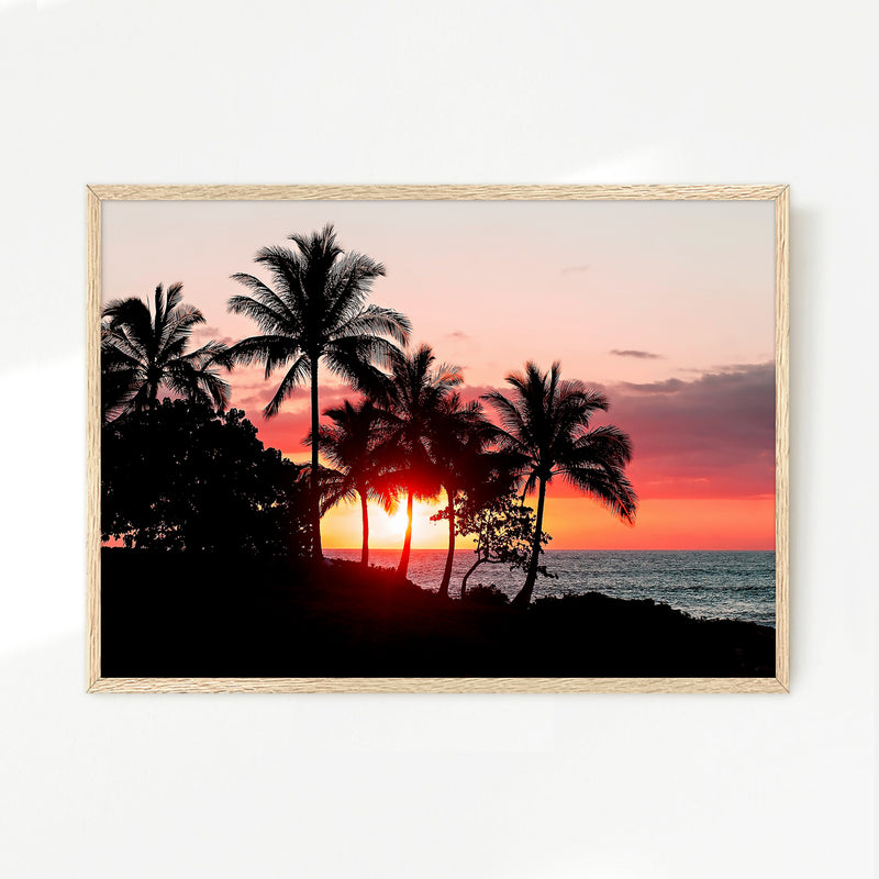 Palm Trees Silhouettes Sunset Photo No1 - Sage and Rose Prints