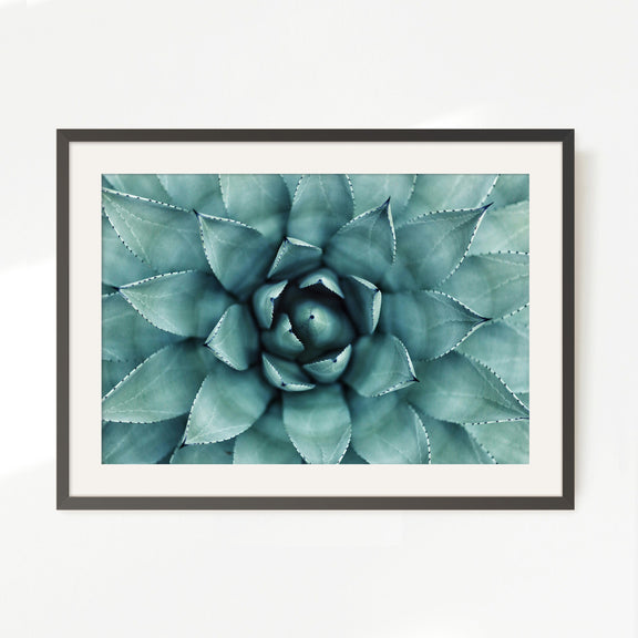 succulent wall canvas Succulent Wall Art Designed as Airbnb Decor – Sage and Rose Prints