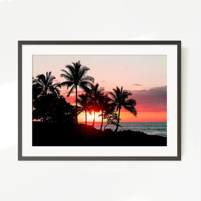 Palm Trees Silhouettes Sunset Photo No1 - Sage and Rose Prints