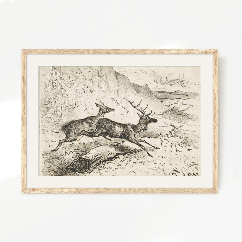 Charcoal Drawing of Deer No2 - Sage and Rose Prints