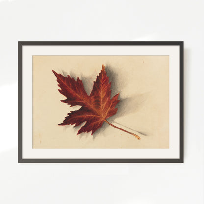 Leaf Drawing in Shades of Red No2 - Sage and Rose Prints