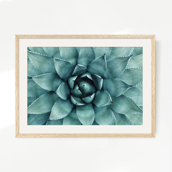 succulent wall painting Succulent Wall Art Designed as Airbnb Decor – Sage and Rose Prints