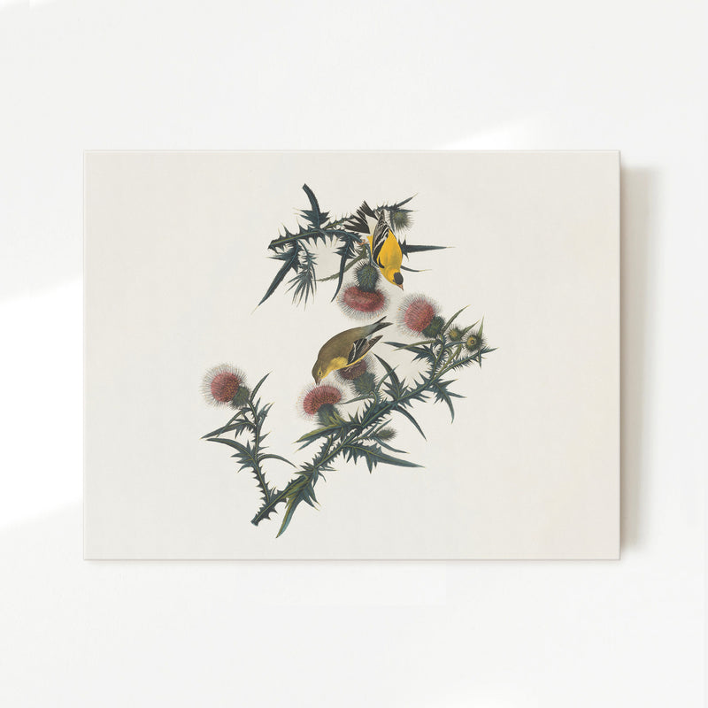 Yellow Bird Artwork 2 - Sage and Rose Prints
