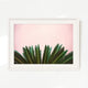 Tropical Leaves and Soft Pink - Sage and Rose Prints