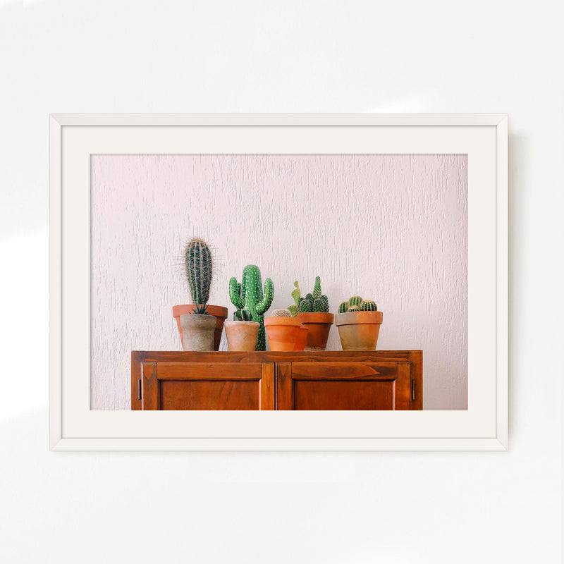 Potted Succulents and Cactus Photo - Sage and Rose Prints