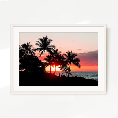 Palm Trees Silhouettes Sunset Photo No1 - Sage and Rose Prints