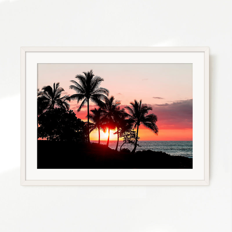 Palm Trees Silhouettes Sunset Photo No1 - Sage and Rose Prints