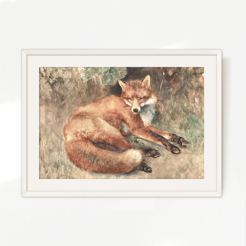 Old Masters Fox Painting - Sage and Rose Prints