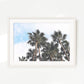 Palms in the Sky Beach Photo No1 - Sage and Rose Prints