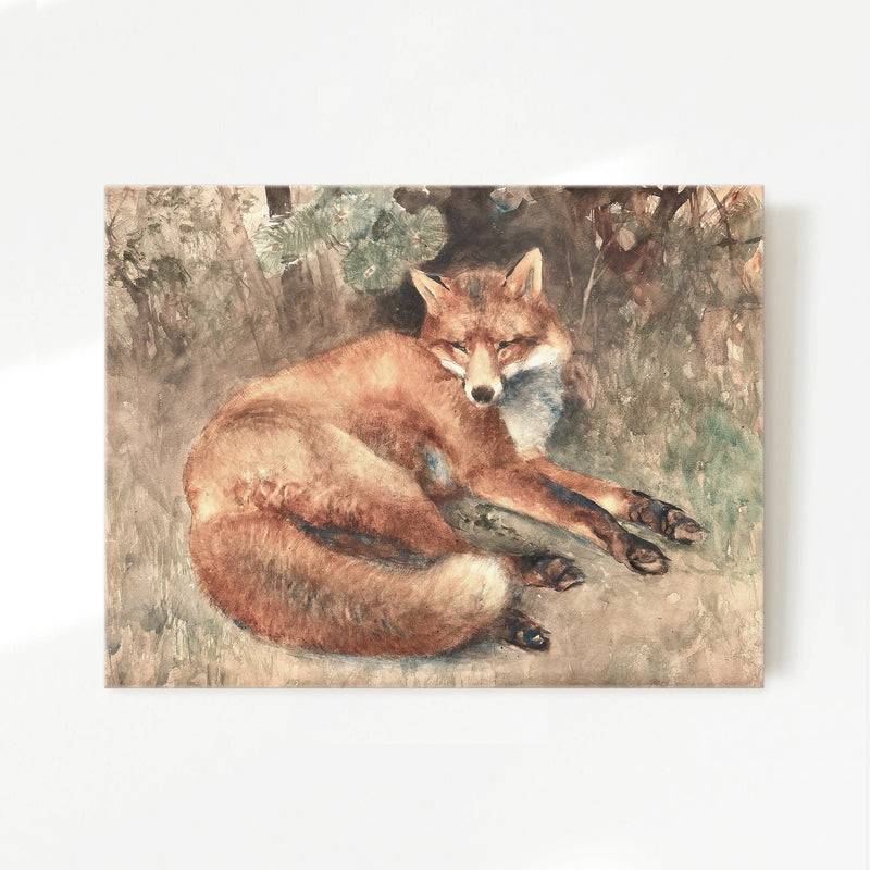 Old Masters Fox Painting - Sage and Rose Prints