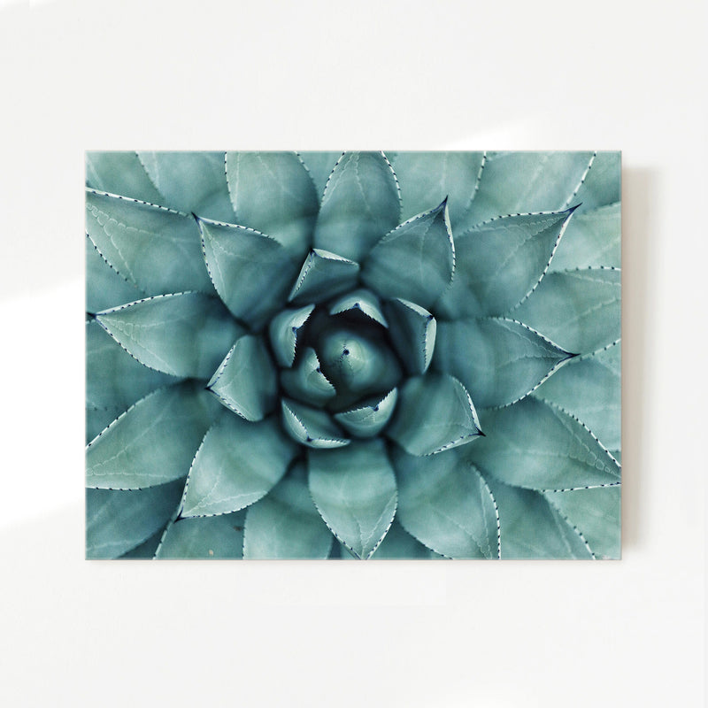 Succulent Wall Art - Sage and Rose Prints
