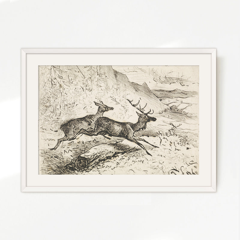 Charcoal Drawing of Deer No2 - Sage and Rose Prints