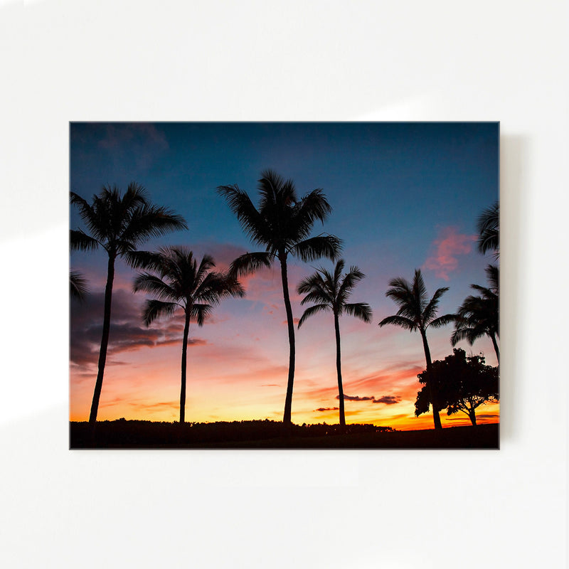 Palm Trees Sunset Photo Print - Sage and Rose Prints