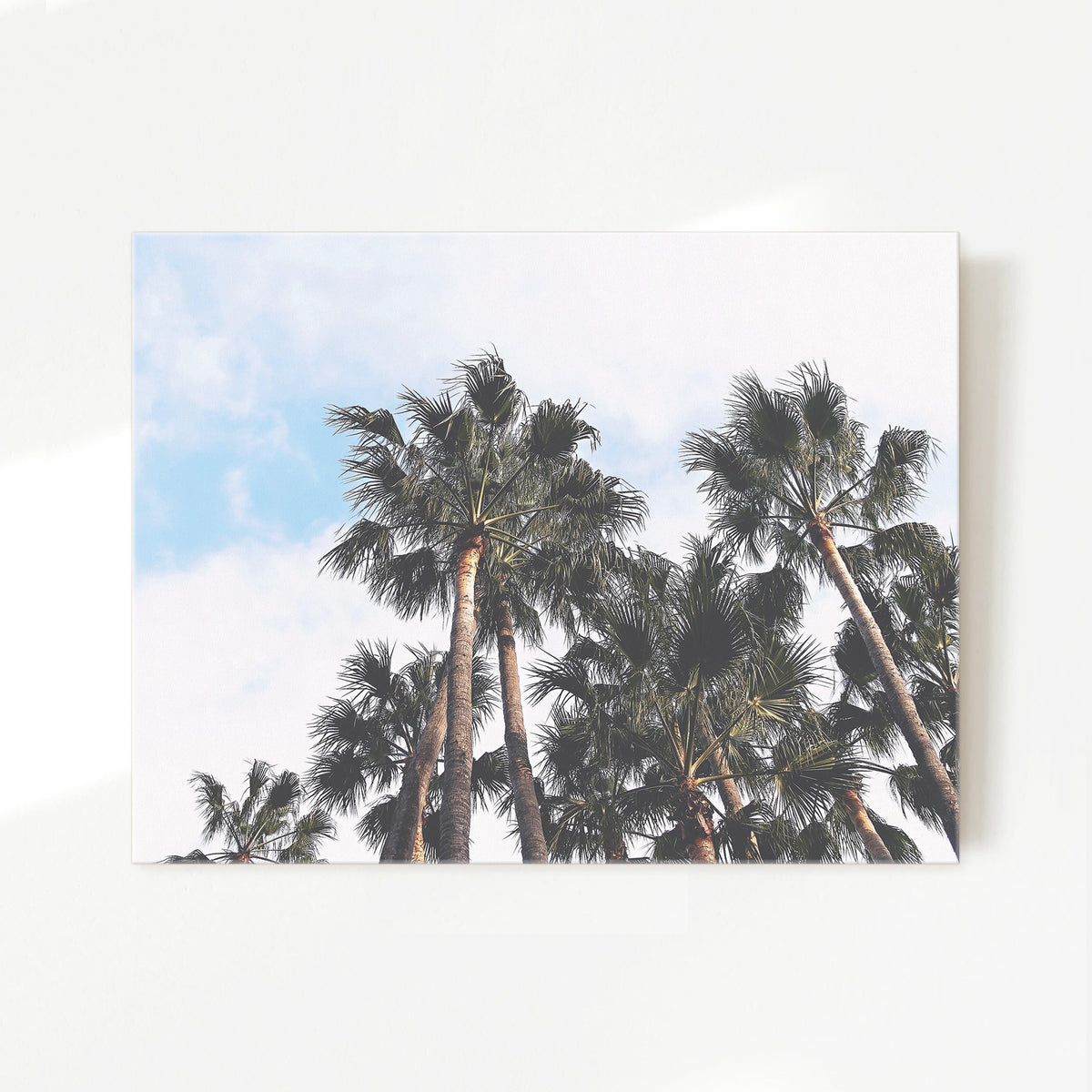 Palms in the Sky Beach Photo No1 - Sage and Rose Prints